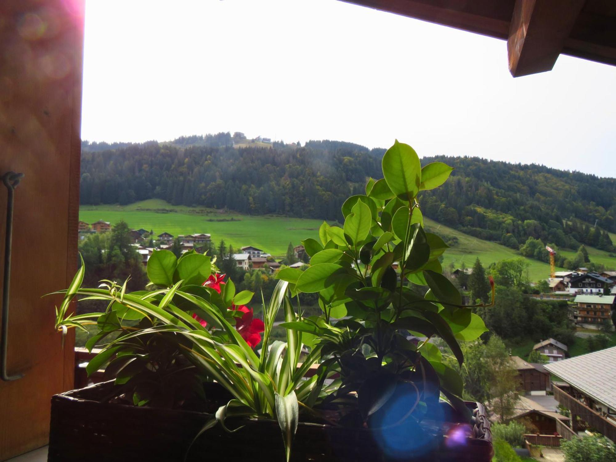 Chalet Chez Gaby 2 - Vue Imprenable Au Calme - Proche Du Centre 莫尔济讷 外观 照片
